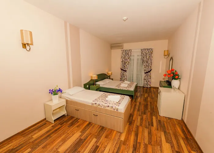 Michelangelo 卡西奥皮